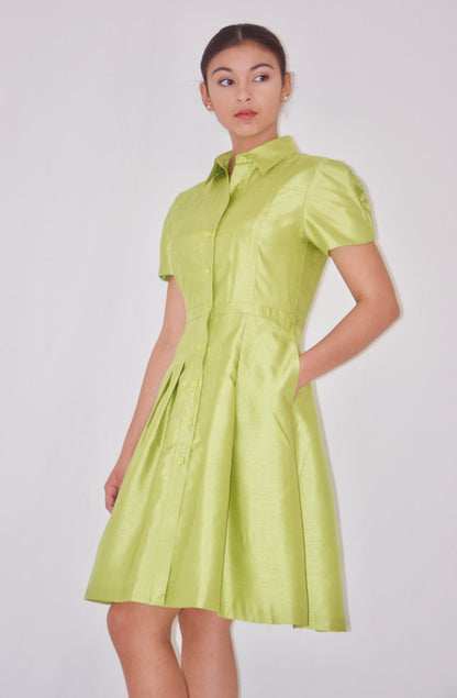 Lime Green Shirtwaist Dress